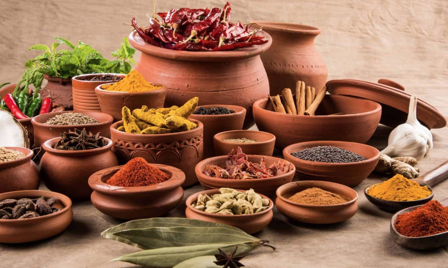 Discovering the Cultural, Historical, and Culinary Diversity That Defines the Heart of Indian Cooking